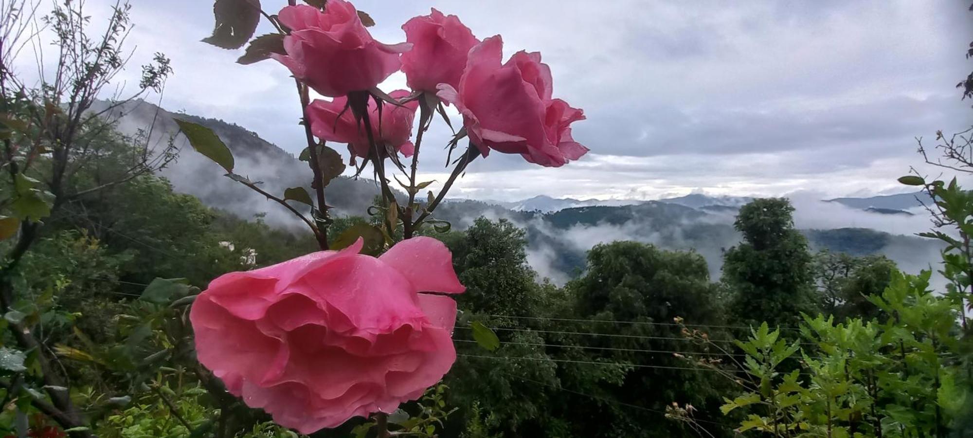 Sunrise Villa Shimla Bagian luar foto
